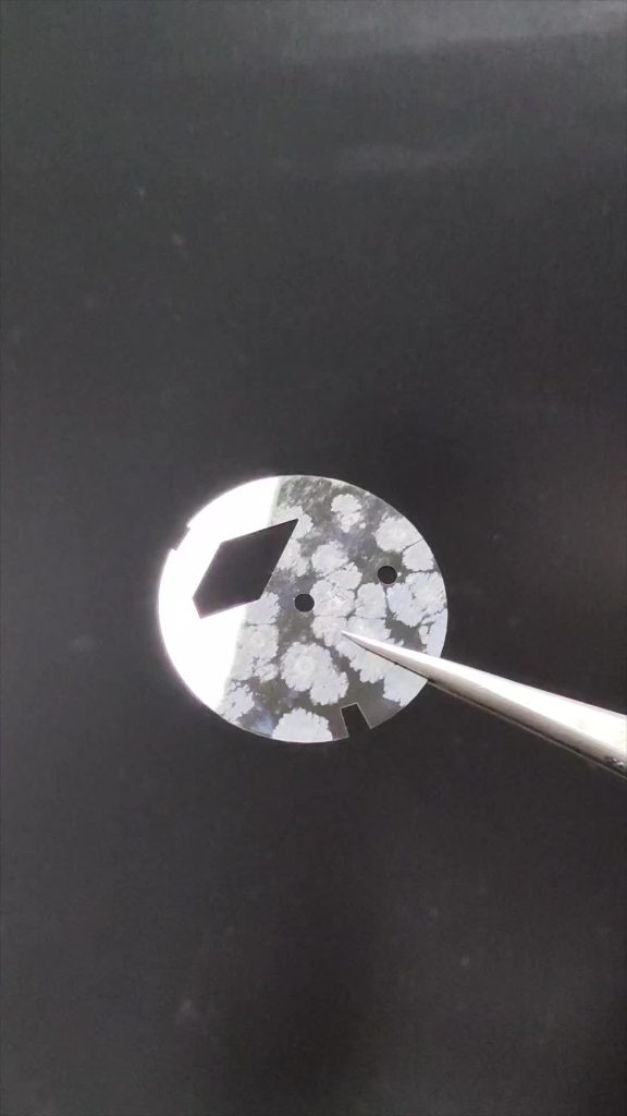 Black Snowflake Obsidian with white snowflake-like crystals.
